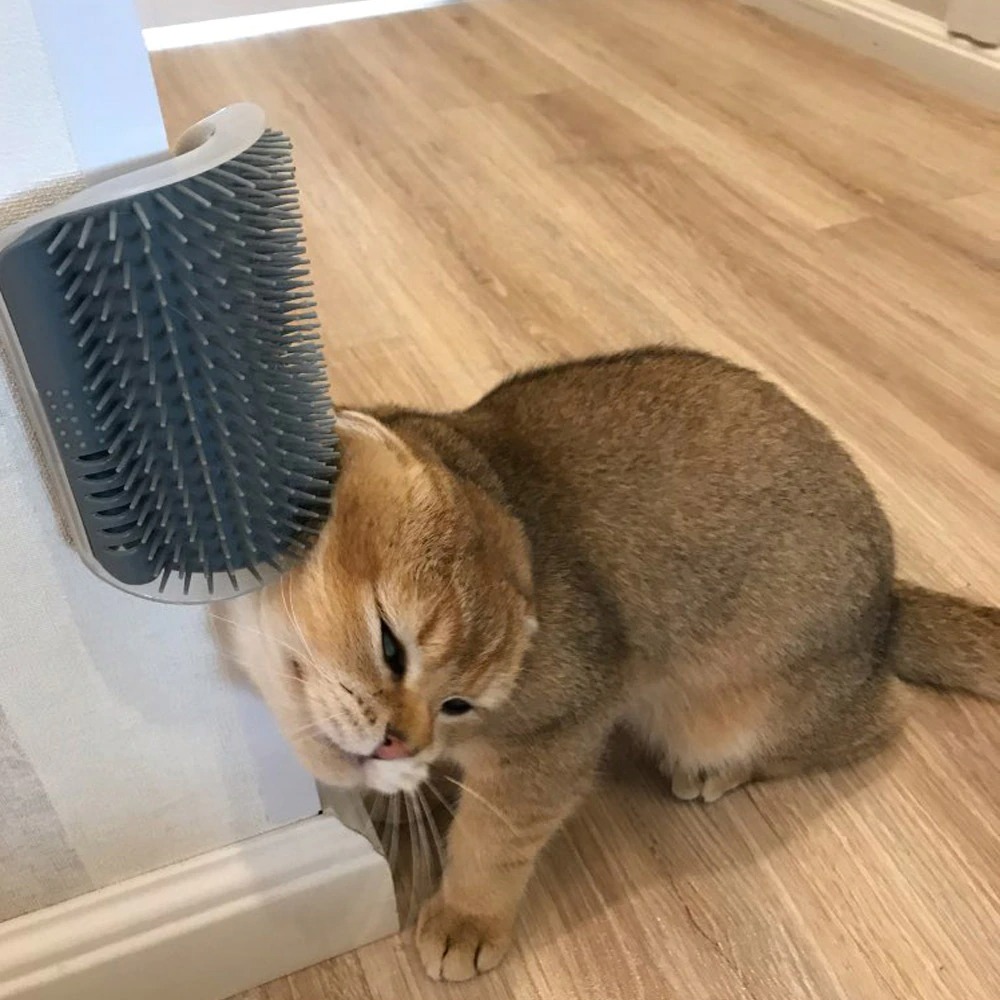brosse de massage d'angle pour chats animalerie