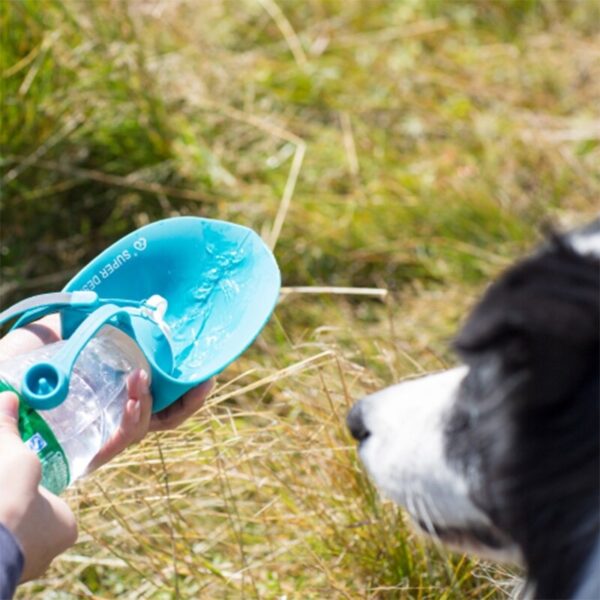 gourde voyage chien promenade