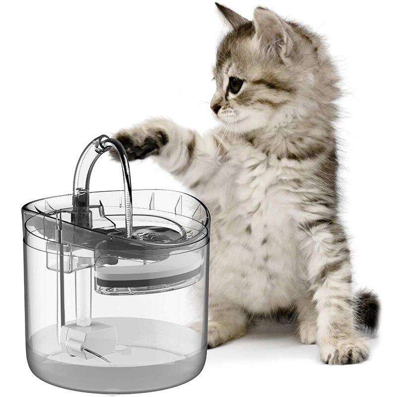 fontaine a eau pour chat transparent