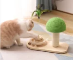 jouet pour chat et griffoir